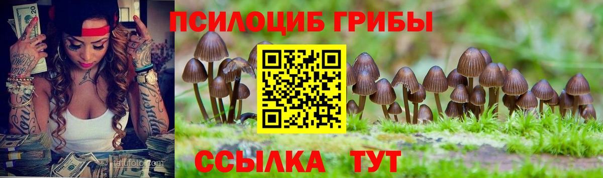 Ржев  Псилоцибиновые грибы прущие грибы  Вход с VPN 